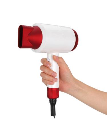 Hair Dryer Professional Ionic Salon Hair Dryer Fast Drying Low Noise Blow Dryer with 1 Concentrator Nozzle for Home Salon Travel(US110V)