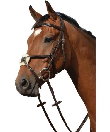 Shop Collegiate Syntovia+ Padded Raised Grackle Bridle - Black Warmblood | Premium Equestrian Gear Internationally Shipped - Buy Online on GoSupps.com