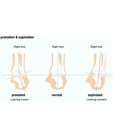 Slimflex Full Length Orthotic Insoles Green UK 7 EU 41 - 2 Count | Supportive Arch Support Inserts - Buy Online on GoSupps.com