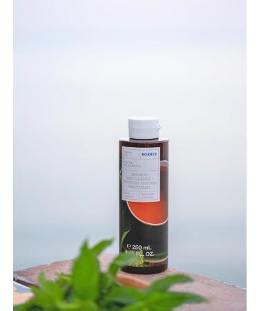  KORRES KORRES 2-Pack Revitalizing Shower Gels - Mint Tea - 1 + 1 Shower Gel - With active aloe vera - Dermatologically tested and vegan - 2 x 250 ml - Buy Online on GoSupps.com