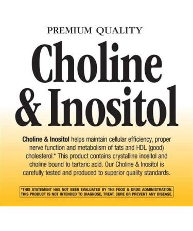 Nature's Way Choline & Inositol 1000 mg - 100 Capsules for Health Support - Buy Online on GoSupps.com