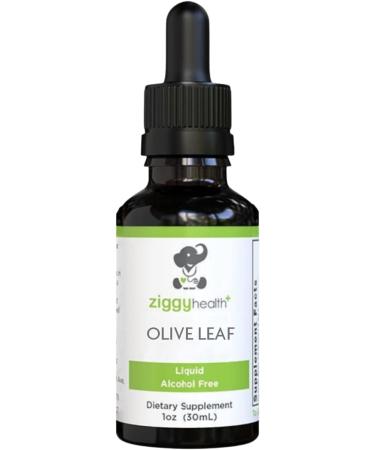 Organic Olive Leaf Extract Liquid Tincture - Alcohol Free Supplement for Cardiovascular and Overall Health - Vegan - 1 oz - Buy Online on GoSupps.com
