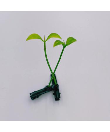 50pcs Bean Sprout Hair Clips - Cute Hairpins for Women, Kids, Girls - Fun Hair Accessories for Home, School, Party - Buy Online on GoSupps.com