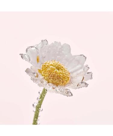 Yves Rocher PURE CALENDULA Regenerating Day & Night Cream Moisturizer 50ml Hydrate & Revitalize Your Skin | International Shipping Available - Buy Online on GoSupps.com