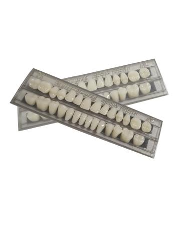 56 Pcs False Teeth Dental Complete Acrylic Resin Denture Set - DIY Halloween Teeth Kit - Buy Online on GoSupps.com