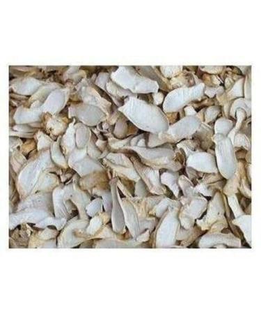 WENXUANSU:3 Pound (1362 grams) Oyster Dried Mushroom Premium Grade from Yunnan China