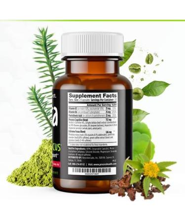 XTF Focus & Energy Pills - Nootropic Brain Booster with Huperzine Acetyl-L-Carnitine Rhodiola Guarana & Caffeine | Energy & Focus Supplement for Peak Performance - Buy Online on GoSupps.com