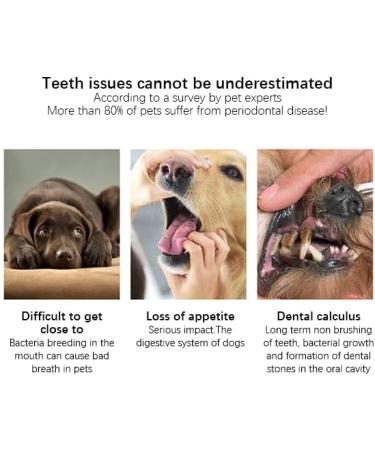 Luntskt 14-Piece Dog Toothbrush Set | Triple & Double-Headed Brushes | Finger Toothbrushes for Optimal Pet Dental Care - Buy Online on GoSupps.com