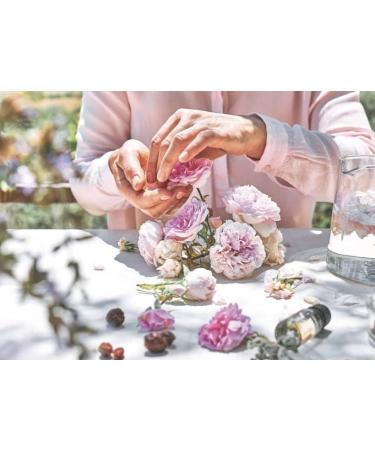 Rose Anti-Aging Hand Cream - 100% Natural Vegan Moisturizing Care for Hands & Nails (50ml) - Buy Online on GoSupps.com