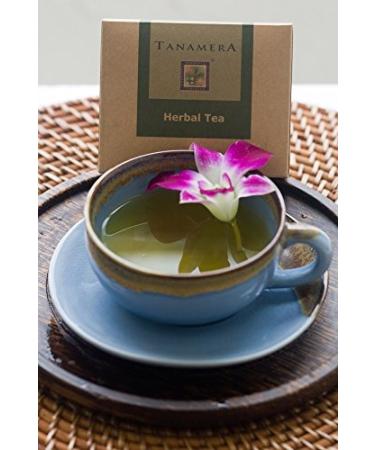 All Natural Wellness Kit for Afterbirth Moms - Complete Care Set | Shop Internationally - Buy Online on GoSupps.com