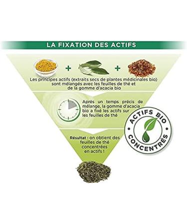  THES DE LA PAGODE Pagoda Teas - Rooibos Nu long - 90 sachets - Pagoda shaped for better diffusion - helps to regain sleep - Buy Online on GoSupps.com