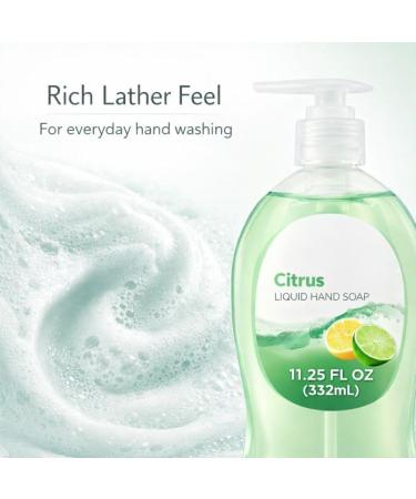 Citrus Scent Liquid Hand Soap for Everyday Hand Washing Smooth Hand Wash for Home Kitchen or Bathroom Use Pump Bottle 11.25 fl oz - Buy Online on GoSupps.com