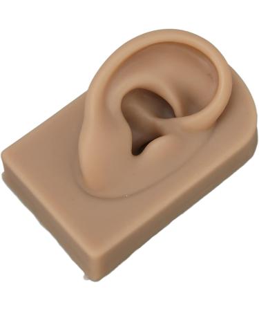 Luqeeg Soft Silicone Ear, Nose, and Mouth Model Set for Suture Practice and Acupuncture Display - 3D Flexible Body Simulation Props - Buy Online on GoSupps.com