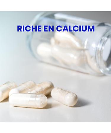 Roches Marines - Lithothamne - Bone Comfort - Calcium Supplement - Acid-Base Balance - 90 Capsules - Developed in France - Buy Online on GoSupps.com