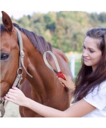 Horse Shedder Scraper Stainless Steel Horse Sweat Scraper Horse Grooming Brushes Combs Single Metal Shedding Blade - Buy Online on GoSupps.com