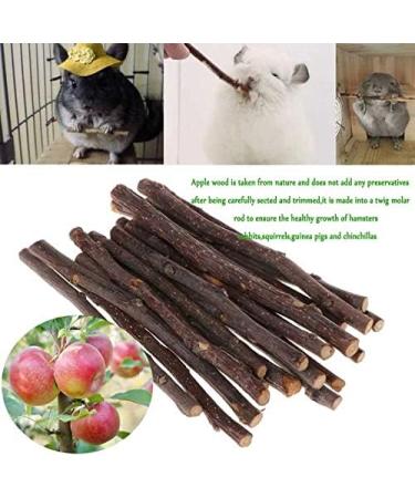 ACLUYSKA 21PCS Hamster Guinea Pig Toys | Small Animal Activity Chew Accessories | Apple Wood Ladder Bell Roller | Teeth Care for Dwarf Hamsters, Rats, Chinchillas, Gerbils, Bunnies - Buy Online on GoSupps.com