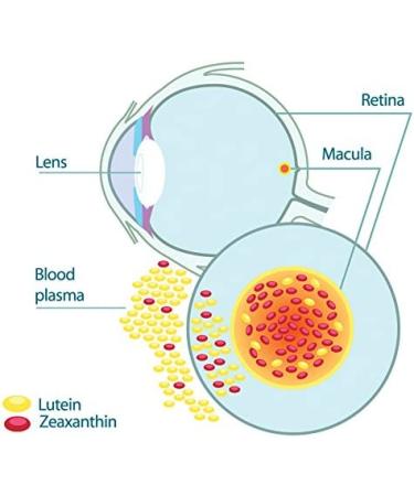 EyePromise Restore Supplement - 60 Softgel Capsules with Lutein, Vitamins C, D, E, Omega-3, Zeaxanthin - Macular Health Formula - Buy Online on GoSupps.com