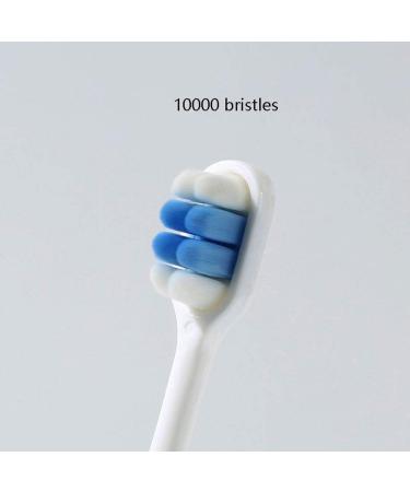 Zumaha Loose Toothbrush - Ergonomic Design 10 000 Bristles 8-Pack Manual Toothbrushes for Adults Pregnancy & Juniors - Ultra-Clean & Comfortable - Buy Online on GoSupps.com