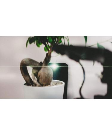 Vid-Atlantic 58mm Clear-Neutral Flare/Streak Filter for Anamorphic Lens Looks - Buy Online on GoSupps.com