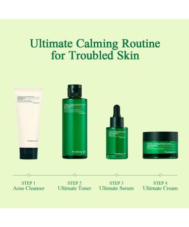 Pyunkang Yul PKY Ultimate Calming Solution Cream for Sensitive Skin with Patented Ingredients Moisturizer Intensely Calms & Soothes Redness with Cica & Tea Tree Korean Skincare (1.01 Fl. Oz 30ml) - Buy Online on GoSupps.com