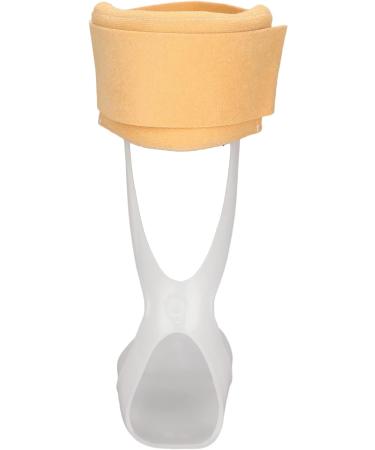 Ankle Foot Orthosis Support Foot Drop Brace Drop Foot Brace Drop Foot Brace Orthosis Ankle Brace Support Plantar Fasciitis Night Splint Orthopedic for Plantar Fasciitis(S-L) S L - Buy Online on GoSupps.com
