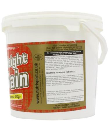 Buy Xingular Vanilla Shakes - Delicious & Creamy Protein Shake | International Shipping Available - Buy Online on GoSupps.com