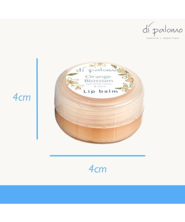Di Palomo - Orange Blossom - Lip Balm 10 ml - Buy Online on GoSupps.com