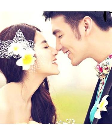 Hawaiian Flower Hair Clip Beach Flower Hair Clip 10 Piece 2.7'' Hawaii Flower Hair Clip Bride Wedding Party Holiday Vacation Women Plumeria Hairpin Hair Accessory (White) - Buy Online on GoSupps.com