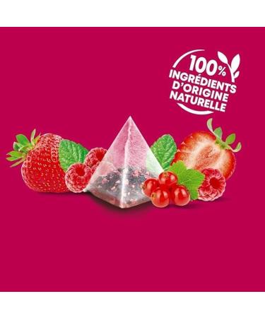Elephant Infusion Aromatis e Go t Fruits Rouges & Touche de Menthe Certifi Rainforest Alliance Ingr dients d'Origine 100% Naturelle 120 Sachets Pyramid - Buy Online on GoSupps.com
