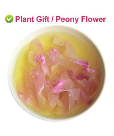 100% Natural Herbacous Peony Tea - Anti-Aging & Freckles Removal | Pink Peony Bud Flower Tea 30g - Buy Online on GoSupps.com