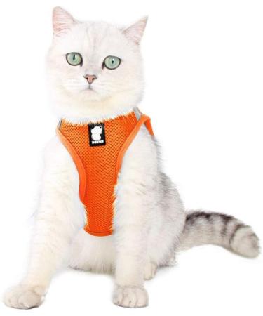 Buy Cat Harness & Leash Set | Cat Dishes for Small Cats | Outdoor Walking Accessories - Buy Online on GoSupps.com