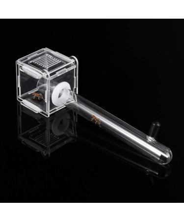 Junlinto Ant Nest Glass Tube Mini Ant Nest with Active Zone Insect House Acrylic Ant Farm - Buy Online on GoSupps.com