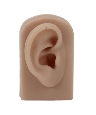 Flexible Reusable Simulated Human Ear Model - Right Ear for Earrings Display & Acupuncture Training (Brown) - Buy Online on GoSupps.com