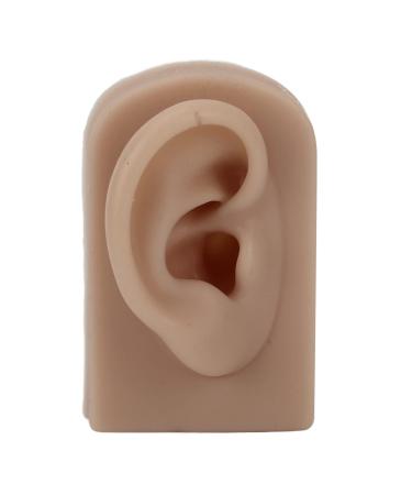 Silicone Right Ear Model Soft Flexible Piercings Practice Tools for Beauty Salon Novices Reusable Human Ear Model for Acupuncture Ear Piercing Training and Earrings Display(Brown)