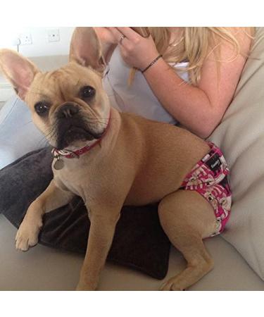 Glenndarcy Dog Diapers - No Tail Hole for French Bulldogs | Black Pink Dots | Medium | Includes 2 Washable Pads - Buy Online on GoSupps.com