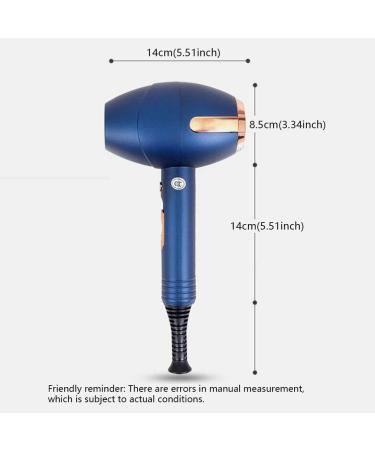 Hairdryer Professional Ionic Hair Dryer 2000W Powerful AC Motor Salon Fast Blow Dryers 3 Heat 2 Speed Settings Low Noise Hair Dryer with Hair Diffusers and 2 Nozzle for Home and Salon Blue Small Gift Brown - Buy Online on GoSupps.com