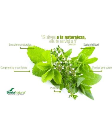  Soria Natural Soria Natural Harpagophyto Extract S. XXI 50 ml - PACK 2 - Buy Online on GoSupps.com