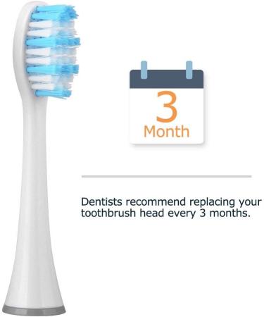 Buy Mornwel D01 Replacement Brush Heads - Dental Care Tools D903/D904 (Black) - International Shipping Available - Buy Online on GoSupps.com