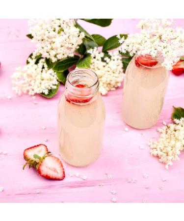 Organic Vegan Kombucha SCOBY - Fresh 1 Litre Fermented Tea Starter Culture - Buy Online on GoSupps.com