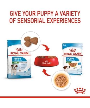 Royal Canin Mini Puppy Complete Wet Food in Gravy 48 x 85g - Buy Online on GoSupps.com