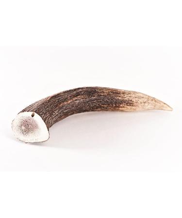 Bellfor Deer Antlers for Dogs XXL - 160 g. Natural treat for dogs grain and gluten free ideal for dental health and providing a high-quality source of protein. - Buy Online on GoSupps.com