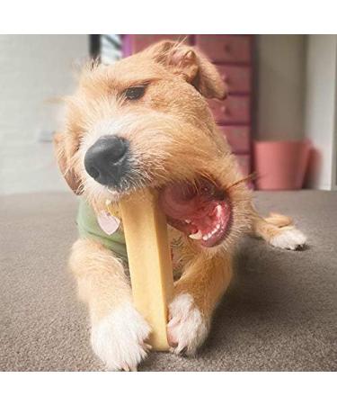 Super Himalayan Dog Chew-All Natural Hard Cheese Himalayan Dog Treats-Long Lasting Dog Yak Chews Made in Europe-Large for Dogs 15-25 kg Large(L)-Dogs 15-25 kg - Buy Online on GoSupps.com