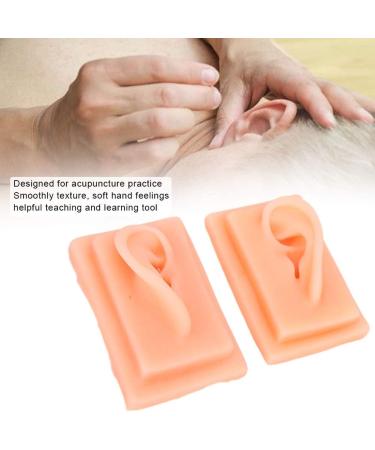 Acupuncture Ear Model for Practice | 2-Piece Set | Smooth Texture | Ideal for Students - Buy Online on GoSupps.com