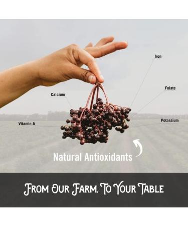 Norm's Farms Elderberry Antioxidant Gummies - Daily Refresh w/MitoHeal 500mg Red & Black Currant Extract - Sleep Mood Skin Hair & Nail Support - USA Made Vegan Non-GMO Gluten-Free - 45 Gummies - Buy Online on GoSupps.com