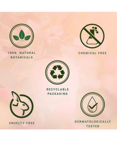 Biotique Bio Fruit Lip Balm 12g - Hydrating Lip Care for Soft, Smooth Lips - Buy Online on GoSupps.com
