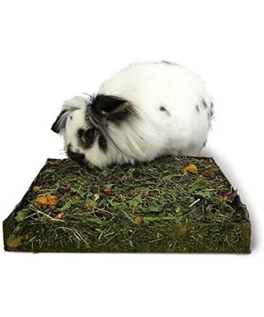 Rosewood 4 PACK NIBBLE N DIG MEADOW WITH DANDELION & BLOSSOMS SMALL ANIMAL TREAT - Buy Online on GoSupps.com