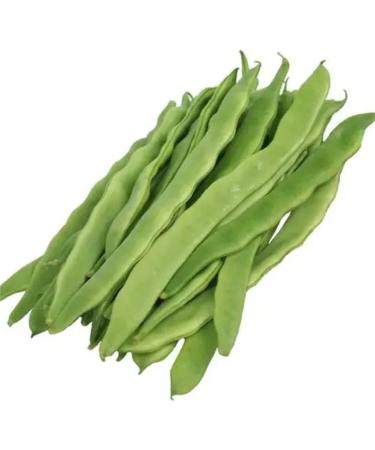 30+ Green Romano Pole Bean Seeds - Light Green Flat Runner Roma Seed - Buy Online on GoSupps.com