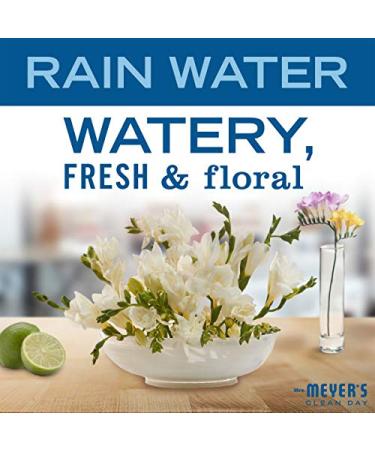 Mrs. Meyer's Rain Water Hand Soap - 12.5 fl. oz, Pack of 6 | Biodegradable Formula with Essential Oils - Buy Online on GoSupps.com