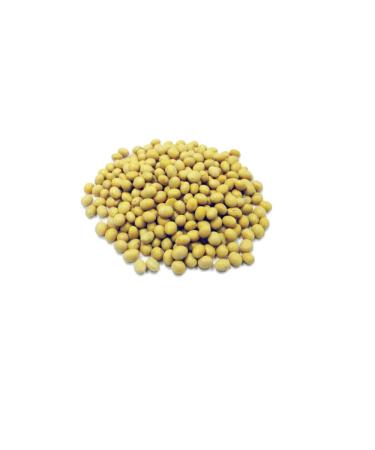 SOYA Beans - 1.5kg