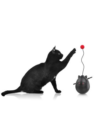 Pedono cat Ball Toy for Indoor Cats ninja black